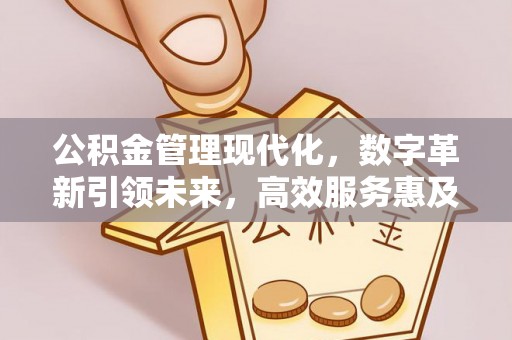 光泽公积金管理现代化，数字革新引领未来，高效服务惠及民生