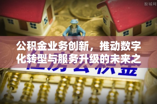 光泽公积金业务创新，推动数字化转型与服务升级的未来之路