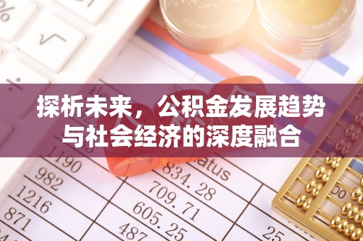 光泽探析未来，公积金发展趋势与社会经济的深度融合