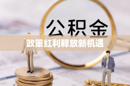 光泽政策红利释放新机遇