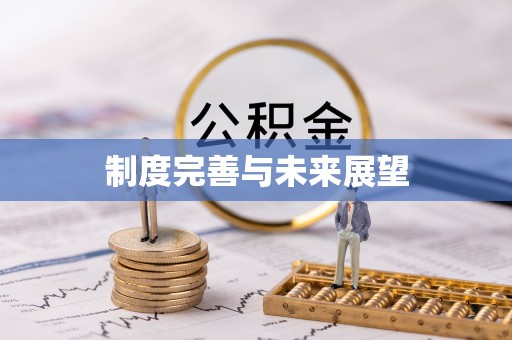 光泽制度完善与未来展望