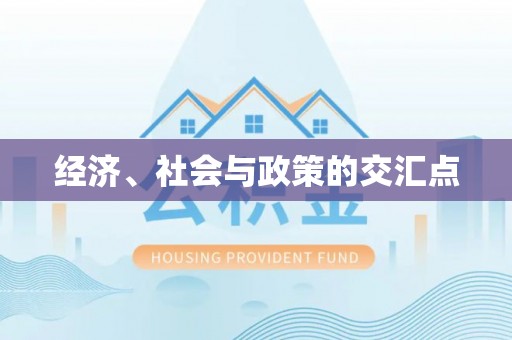 光泽经济、社会与政策的交汇点
