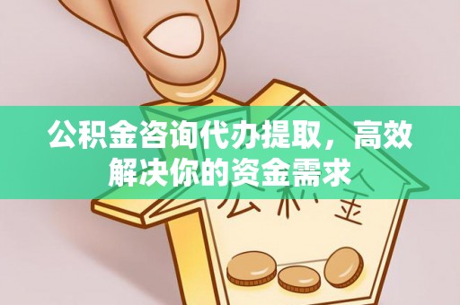 光泽公积金咨询代办提取，高效解决你的资金需求