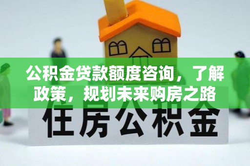 光泽公积金贷款额度咨询，了解政策，规划未来购房之路